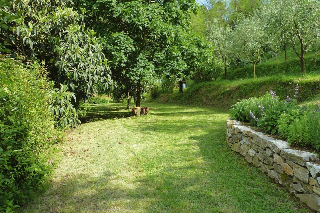 Holiday Home Casa Carla, Ripafratta 外观 照片